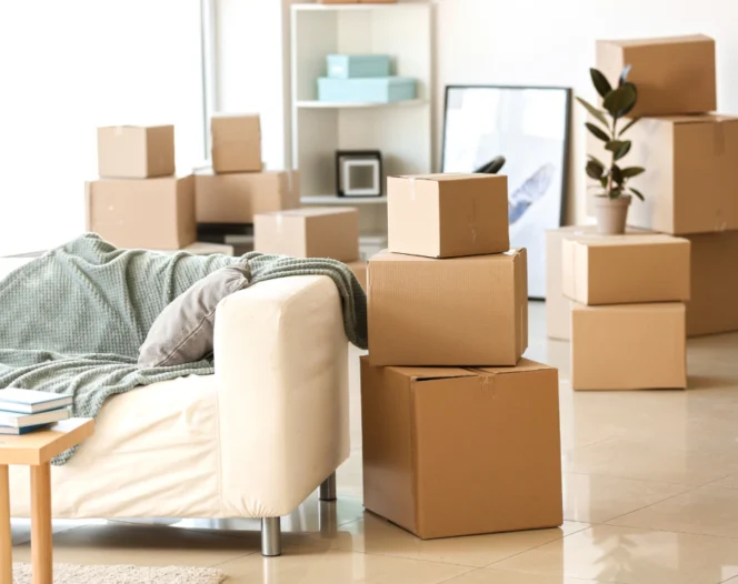 Move In and Move Out